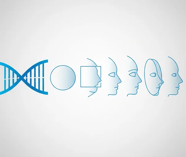 DNA helix transforming into face shape outlines; genetics.